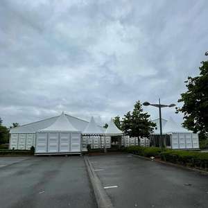 100% PVC tissu blanc ABS auvent mural pagode <span class=keywords><strong>parapluie</strong></span> gazebo 6x6 pagode tente avec porte en verre et mur solide en ABS - Product Image 6