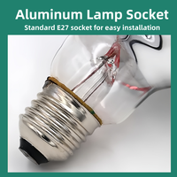 Lampe chauffante infrarouge 100W blanche à ampoules épaissies pour poussins, porcs, moutons et animaux de compagnie