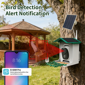 Mangeoire à oiseaux intelligente <span class=keywords><strong>solaire</strong></span> Premium Baiyi BD015 avec caméra Wi-Fi HD couleur pour surveillance à distance des oiseaux domestiques en extérieur - Product Image 1