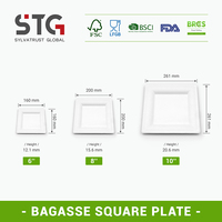 Assiette carrée personnalisée de 8 pouces en bagasse, écologique, compostable, jetable, pour dîner, fête, événement, certifiée FSC, matière première disponible