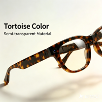 Lunettes Intelligentes HS600pro 13MP HD 1080P avec Traduction IA en Temps Réel, Appels Téléphoniques et Lecteur de Musique, Chargement Type-C