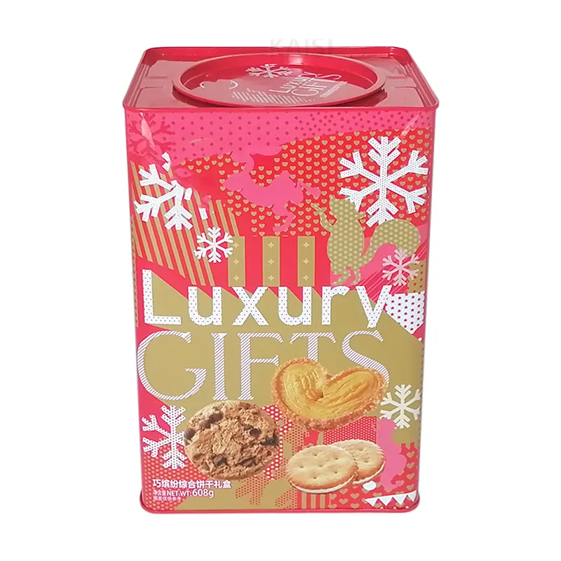 Boîtes à biscuits grand pot en fer blanc de qualité alimentaire avec couvercle à pression emballage cadeau