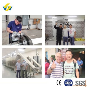 Fabricant et fournisseur chinois d'extrudeuses <span class=keywords><strong>à</strong></span> double vis pour aliments pour animaux de compagnie, spécialisées dans la production de granulés pour chats, avec différentes capacités de production. - Product Image 5