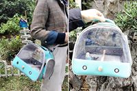Cage de transport portable pour perroquet et perruche avec perchoir et tapis, petite cage de voyage pour oiseaux pour l'extérieur