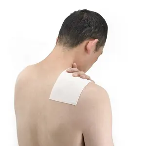 CSI OEM Logo Packaging Ingredientes activos para espalda Brazos Piernas Pegatinas para aliviar el dolor