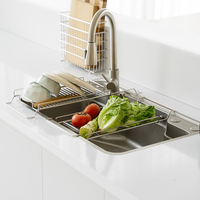 Escurridor de Platos Extensible de Acero Inoxidable SUS304, Cesta de Drenaje para Fregadero, Organizador de Almacenamiento de Platos y Tazones para Cocina