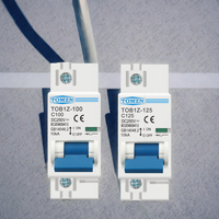 Disjoncteur miniature DC 1P 100A 250V pour système photovoltaïque, courbe C, interrupteur principal de batterie, montage sur rail DIN, modèle TOB1Z-125