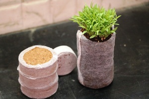 Dừa Than Bùn Hữu Cơ JIFFY Phích Cắm Xuất Khẩu/COCO Than Bùn Viên/COCO Đĩa - Product Image 3