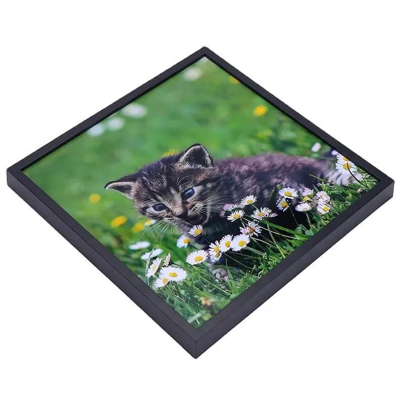 Brand New Picture Editor Stick Foam Photo Frame With High Quality
