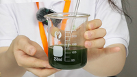 Comprimés de Chlorelle Bio de Haute Qualité OEM, Superaliment Végétalien Naturel, Comprimés de Chlorelle en Vrac