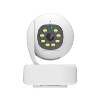Caméra de sécurité sans fil Tuya 2,4 GHz, mode confidentialité et interphone bidirectionnel, babyphone