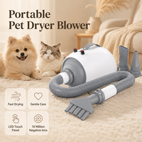 Sèche-cheveux pour animaux de compagnie de qualité supérieure, durable, 2100W, respectueux de l'environnement, avec affichage LED précis, fonction anion lisse pour les vétérinaires professionnels