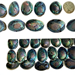 Shiny Polished <b>Abalone</b> <b>Shells</b> with Iridescent Surface Natural Shape Souvenir & Home Decor From Vietnam Manufacturer 99 Gold Data - Product Image 1