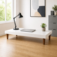 Pieds de canapé personnalisés OEM en plastique ABS, design moderne, pour appartement, chambre, hôtel