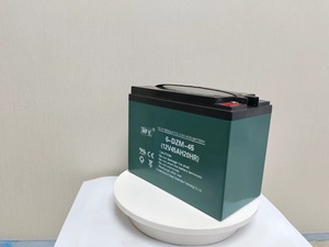แบตเตอรี่สำหรับรถกอล์ฟ 6-DZM-45AH 12V 45AH ยืดเวลาการใช้งาน คุ้มค่า - Product Image 5