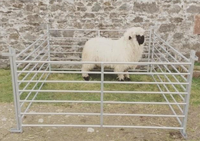 Panneaux de clôture portables galvanisés pour moutons et chèvres, faciles à assembler, fournis directement par l'usine, pour la ferme