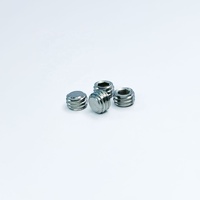Vis sans tête à six pans creux en acier inoxydable, finition brute, norme DIN ISO, fabrication sur mesure, avec pointe conique M4