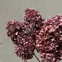 Meilleures ventes 2026 : Hortensias réalistes pour table de mariage, fleurs d'hortensia préservées, cadeaux de mariage, cadeau d'hortensia
