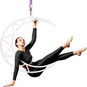 Aro de lyra com acessórios, equipamento aéreo de circo de 85cm/90cm