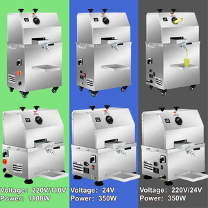 High <b>Juice</b> Yield Electric Stainless Steel Sugarcane Juicer with Motor 220V 1100W - Product Image 2