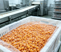 Baies d'argousier surgelées IQF, orange vif, baies entières pour une présentation haut de gamme