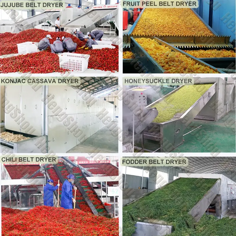 Essiccatore alimentare multifunzione a Gas industriale Shouchuang essiccatore essiccatore per noci pistacchio asciugatrice