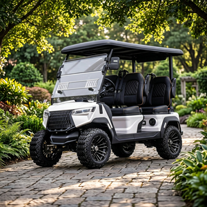 Carrito de Golf con Asientos de Felpa, Conducción Estable sin Sacudidas en Terrenos Irregulares, Eléctrico para Caminos No Públicos, con Certificación DOT y CE - Product Image 1