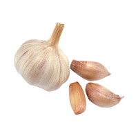 Sinofarm Gousses d'ail chinois pelées blanches Prix de gros 1kg Ail frais congelé pour l'exportation