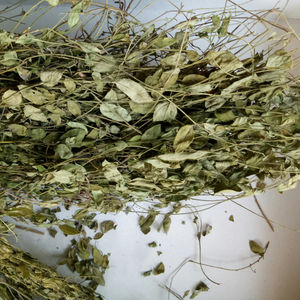 Травяная медицина дикая полигала сибирская сырая сушеная полибала сибирская целые растения для продажи - Product Image 3