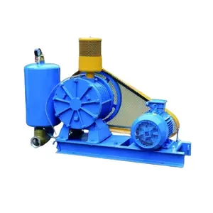 Factory Price Air Supply Small Roots Blower Manufacturer from China