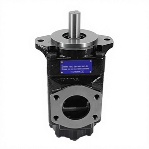 Pompe à double palette T6cc T6cc-012-003-1r00-c, huile 022 014 1r00 C100, hydraulique à cylindrée fixe pour un contrôle précis dans l'industrie du caoutchouc - Product Image 5