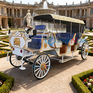 Carruaje de Caballos Personalizado para Bodas, Vagoneta Turística, Carruaje Real Eléctrico con Caballos en Venta, Carruaje para Bodas - Product Image 2