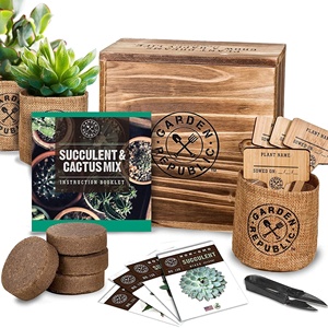 Kit di coltivazione fai da te all'ingrosso per la coltivazione di erbe regali di giardinaggio personalizzati Mini Kit da giardino al coperto <span class=keywords><strong>Cactus</strong></span> e piante succulente - Product Image 1