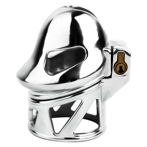 FRRK-339A Dispositivo de Castidad Premium de Acero Inoxidable para Glándulas, Jaula para Pene con Anillo de Castidad Invisible de 9 Tamaños, Juguetes Eróticos Fetichistas para Adultos BDSM - Product Image 4