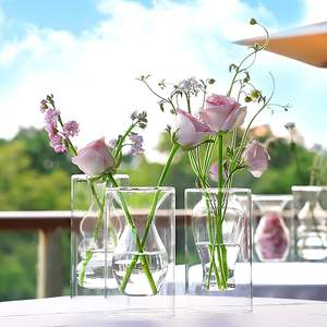 Colourful <strong>Glass</strong> Transparent Vase Living Room Dining Table Dried Flowers Hydroponic Vases - Product Image 6