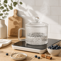 Pot de cuisson en verre résistant à la chaleur fait à la main avec couvercle, compatible avec les cuisinières à gaz, passe au lave-vaisselle, 1000 ml, pour soupes, pâtes, aliments pour bébés