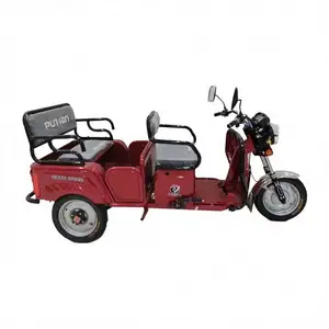 Brand New Liquid Crystal Electric Tricycle Best Pet Strollers For Women Use