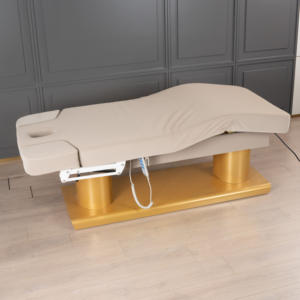 Muebles de Salón de Lujo, Camilla de Masaje de Belleza Facial Eléctrica Ajustable de Platino con 4 Motores - Product Image 2