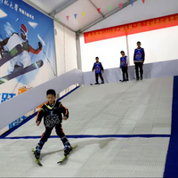 Vente chaude : Tapis de ski artificiel sec pour simulation de ski en extérieur, avec brosse en forme de champignon, pour l'enseignement, blanc et bleu, de fabricants