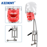 Simulador de modelo de cabeza Simple Dental de alta calidad, modelo de dientes para práctica, educación de dentista, enseñanza de estudio