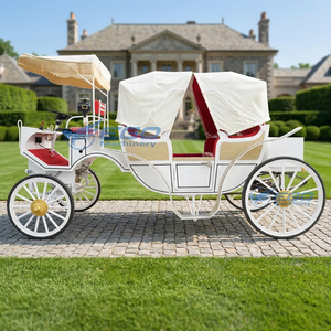 Sightseeing Carriage High Quality Special Customized Elegant Comfortable Electric Sightseeing Carriage - Product Image 1
