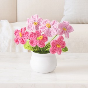 Plantas en maceta de olvido-amo (Forget-Me-Not) hechas a mano y personalizadas, regalos para el Día de la Madre, plantas en maceta directamente de fábrica, plantas en maceta en lotes. - Product Image 6