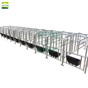 Cama de gestación para cerdas, Jaulas de paridera galvanizadas para cerdos, Corrales, Suelos para cerdos, Equipos para parideras y cerdas en <span class=keywords><strong>venta</strong></span> - Product Image 4