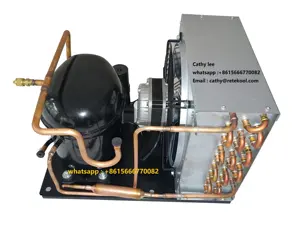 SECOP Embraco 110v 60hz R290 R404 compressor cobre condensador refrigeração a ar unidade de condensação para refrigerador freezer