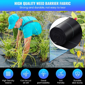 Bâche anti-herbe OPPE largeur extra-large à prix d'usine, film transparent laminé, imperméable et anti-UV <span class=keywords><strong>pour</strong></span> couverture de serre et de chantier - Product Image 3