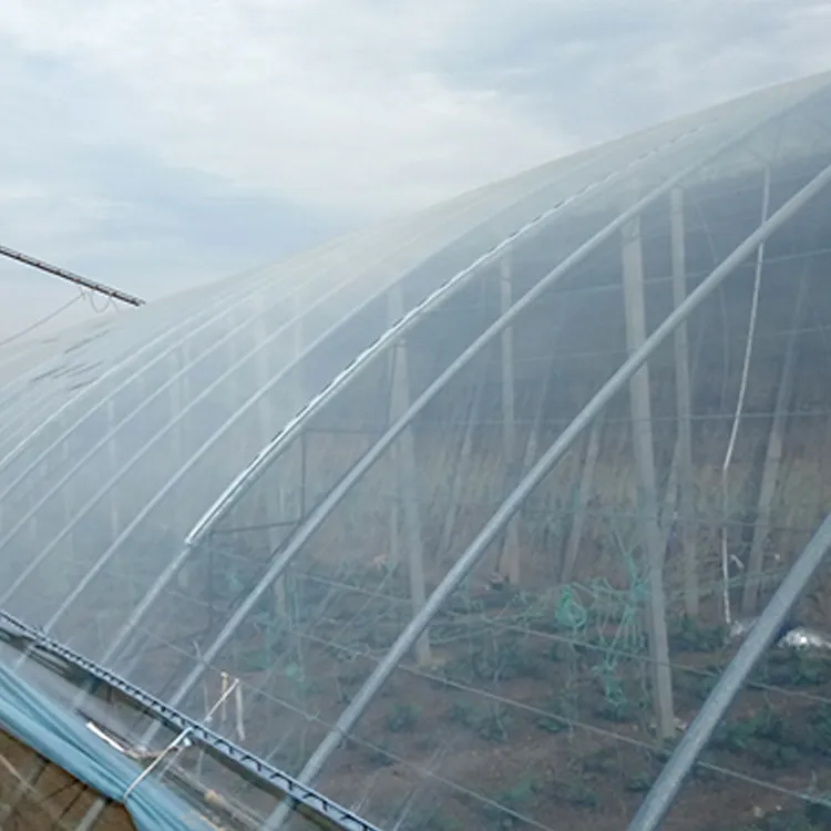 China Made Greenhouse Plastic Film Roll Polyethylene Po Film For Greenhouse