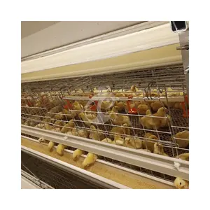 Professional Manufacturer Battery Poultry Farm Broiler Chicken Cage