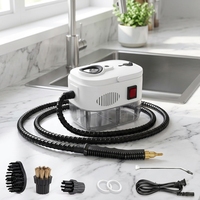 Machine de nettoyage à vapeur haute température certifiée CE, adaptée à un usage domestique et commercial