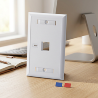 Plaque frontale 120 ports type 1 avec icônes ordinateur et téléphone pour connecteur Keystone RJ45 pour câblage réseau et vocal