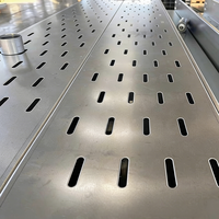 Plateau de câblage perforé galvanisé à chaud sur mesure 100x50 200x100mm pour la gestion des câbles d'alimentation des centres de données